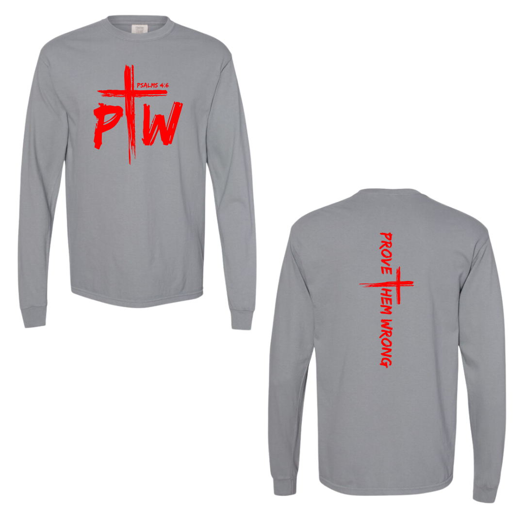 Grey Prove Them Wrong Spine Cotton Long Sleeve