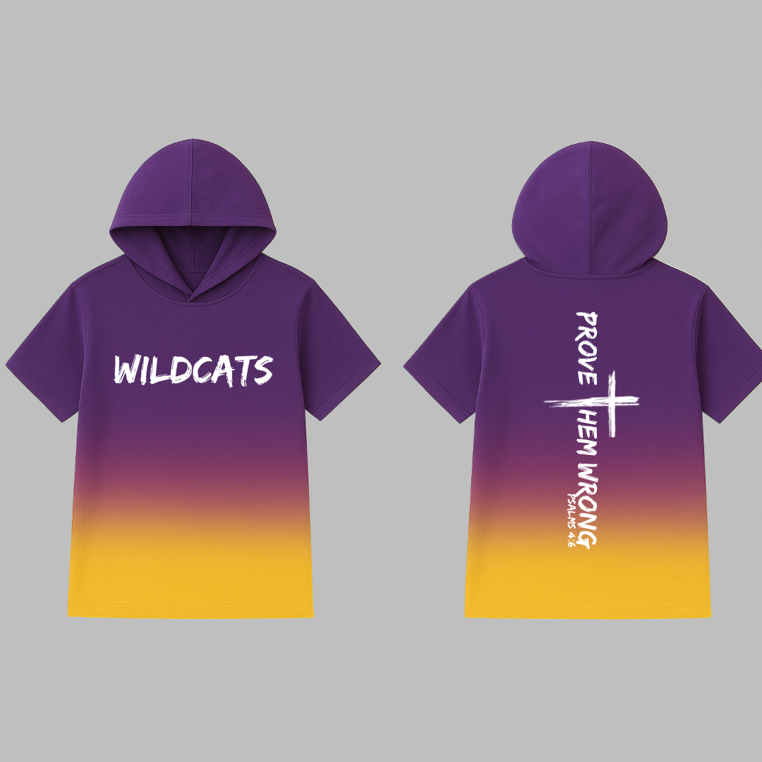 Wildcats -Fading Purple