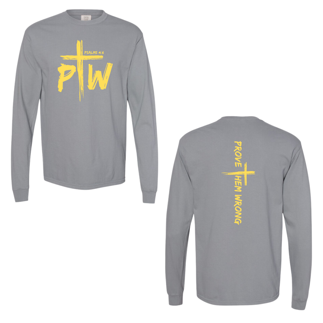 Grey Prove Them Wrong Spine Cotton Long Sleeve