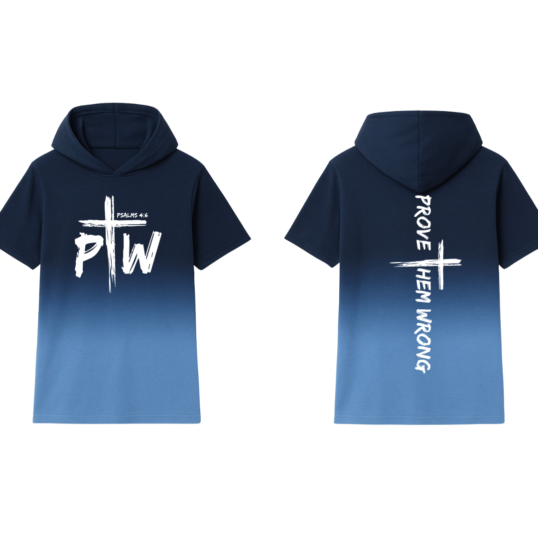 Navy Fading To Powder Blue