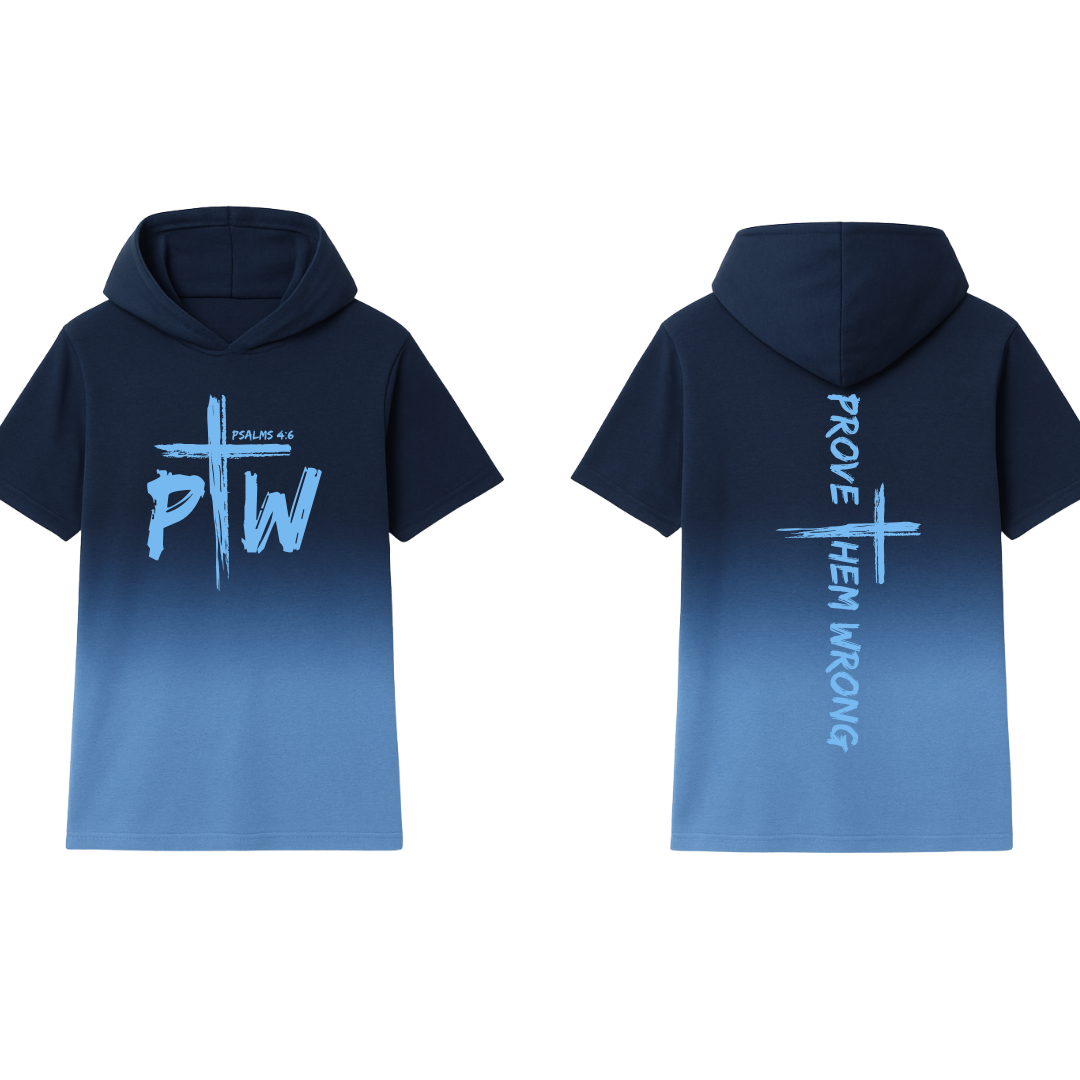 Navy Fading To Powder Blue